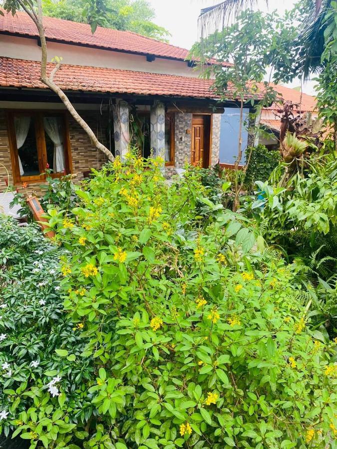 Miana Resort דואונג דונג מראה חיצוני תמונה